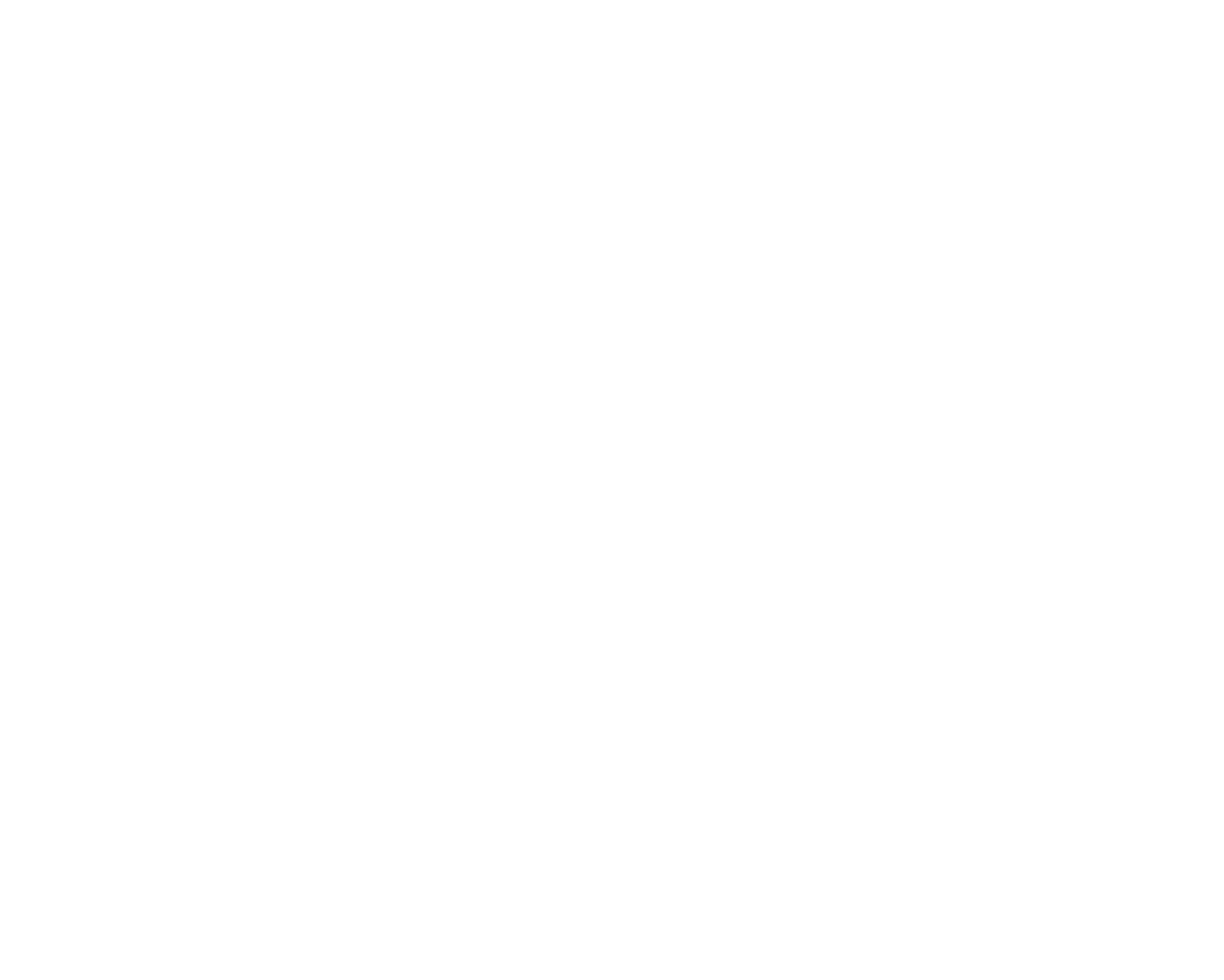 seem logo